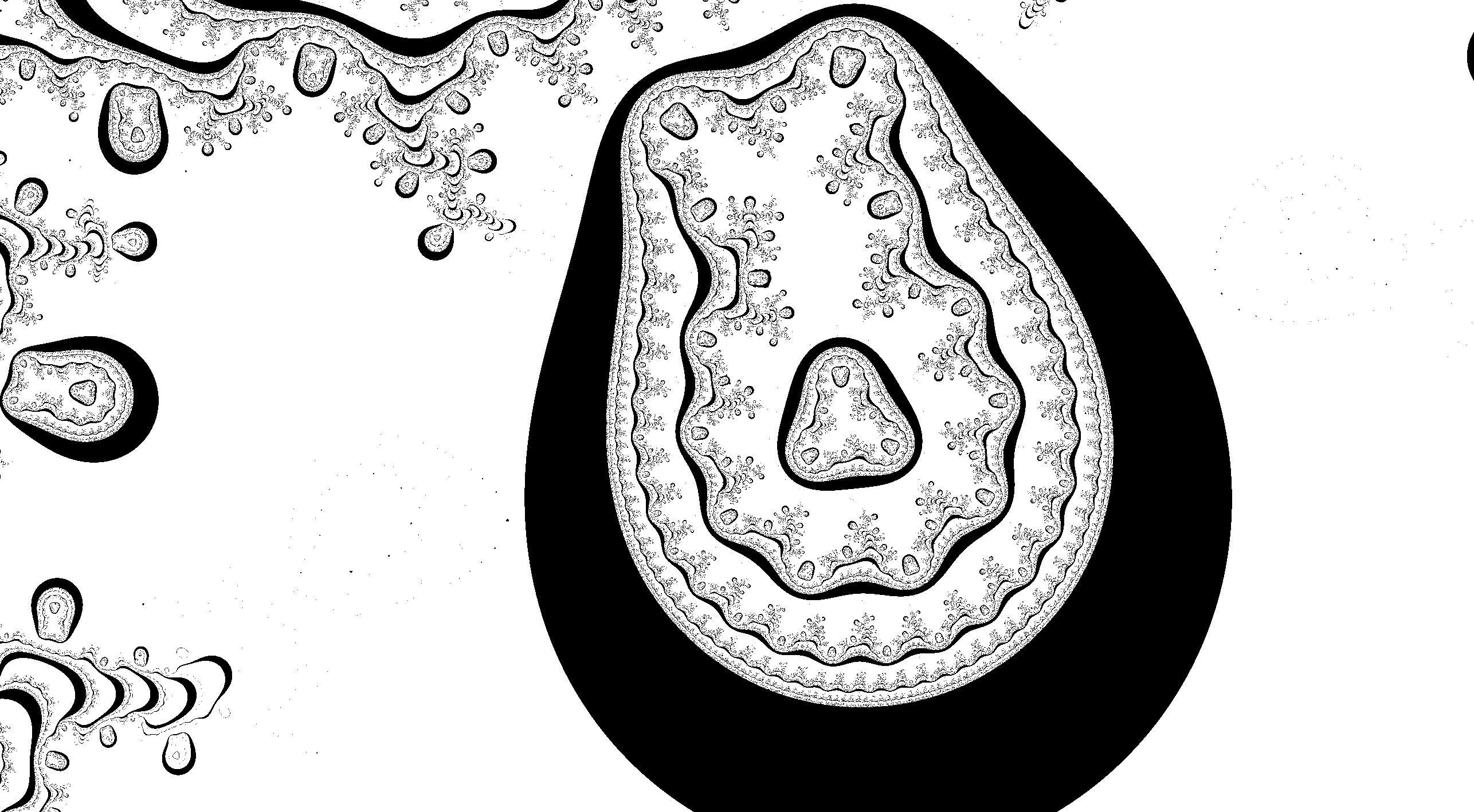 Ghostly black and white speckly fractal.